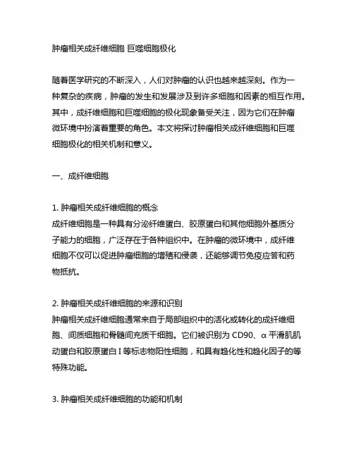 肿瘤相关成纤维细胞 巨噬细胞极化