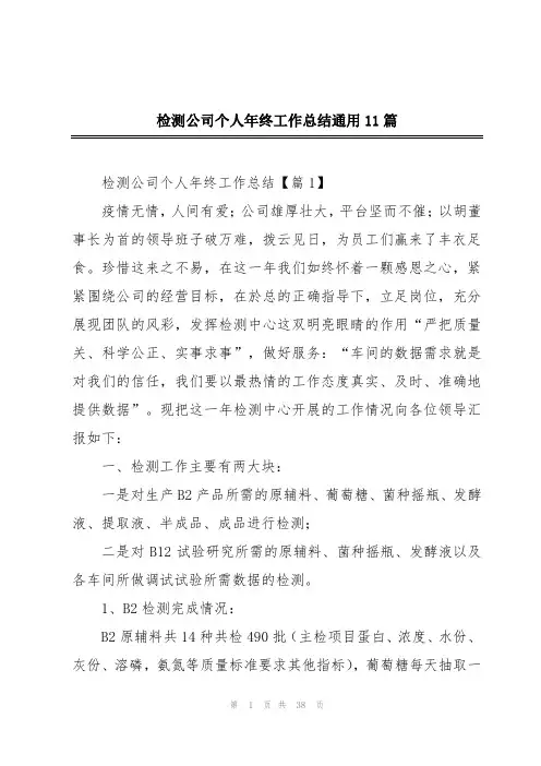 检测公司个人年终工作总结通用11篇