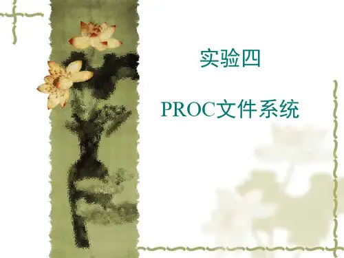 实验四 PROC文件系统