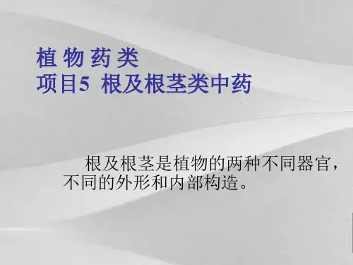 根及根茎类中药概括