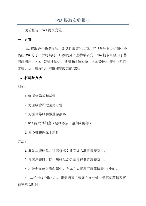 DNA提取实验报告