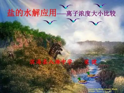 离子浓度大小比较
