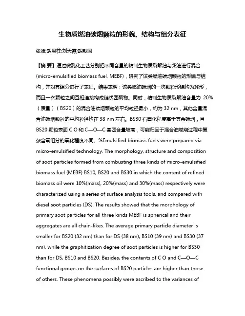 生物质燃油碳烟颗粒的形貌、结构与组分表征