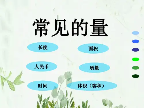 《常见的量》总复习2PPT课件 图文