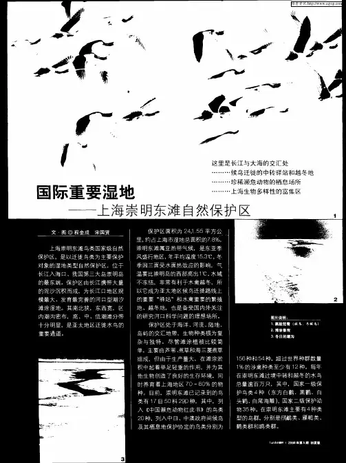 国际重要湿地——上海崇明东滩自然保护区