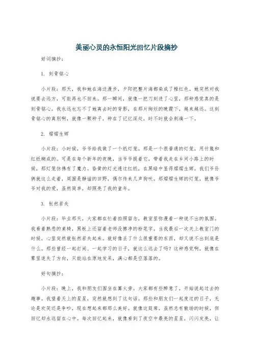 美丽心灵的永恒阳光回忆片段摘抄