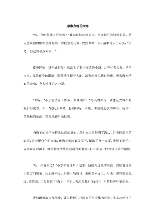 形容夜晚的大海