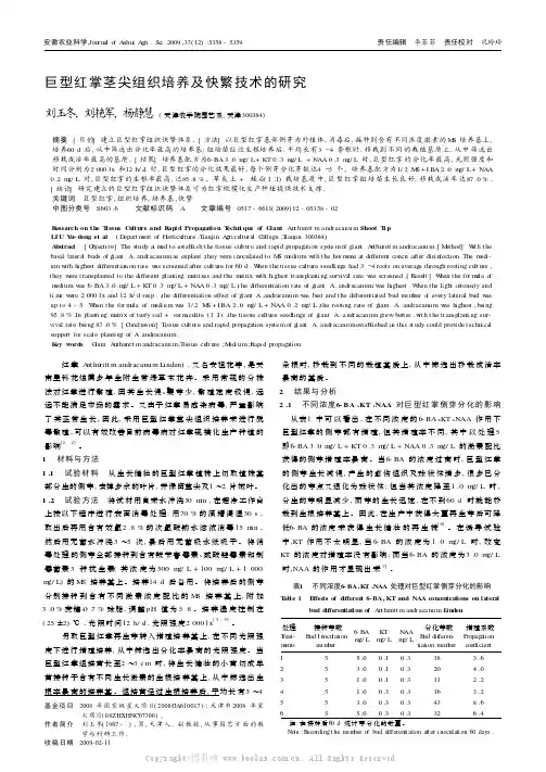 巨型红掌茎尖组织培养及快繁技术的研究