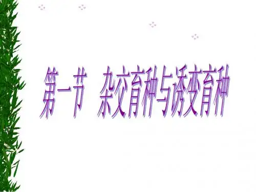 杂交育种与诱变育种