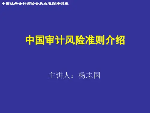 中国审计风险准则介绍