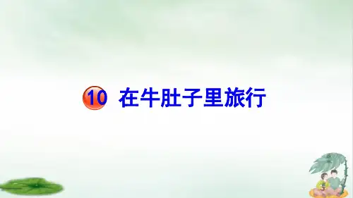 《在牛肚子里旅行》课件PPT下载(共31张PPT)