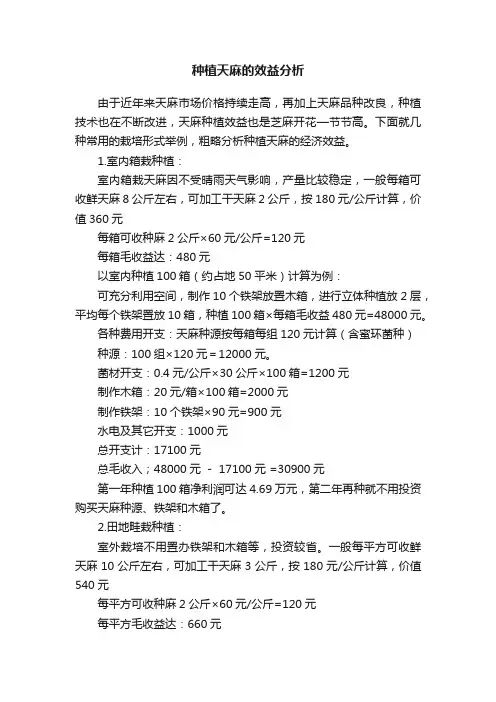 种植天麻的效益分析