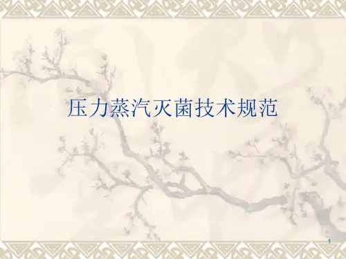 压力蒸汽灭菌技术PPT演示课件