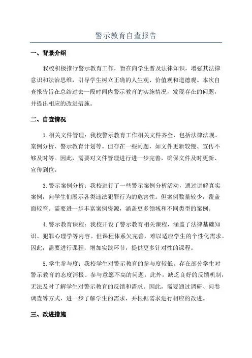 警示教育自查报告