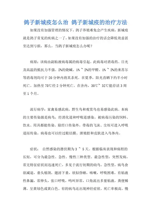 鸽子新城疫怎么治 鸽子新城疫的治疗方法