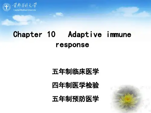 适应性免疫应答