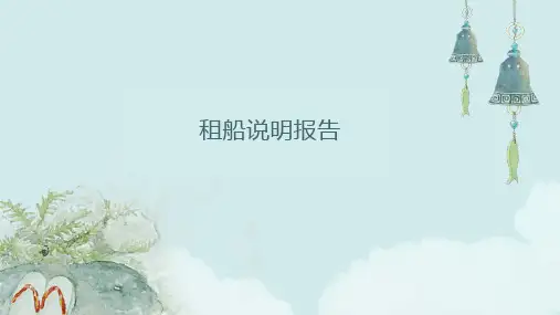 租船说明报告