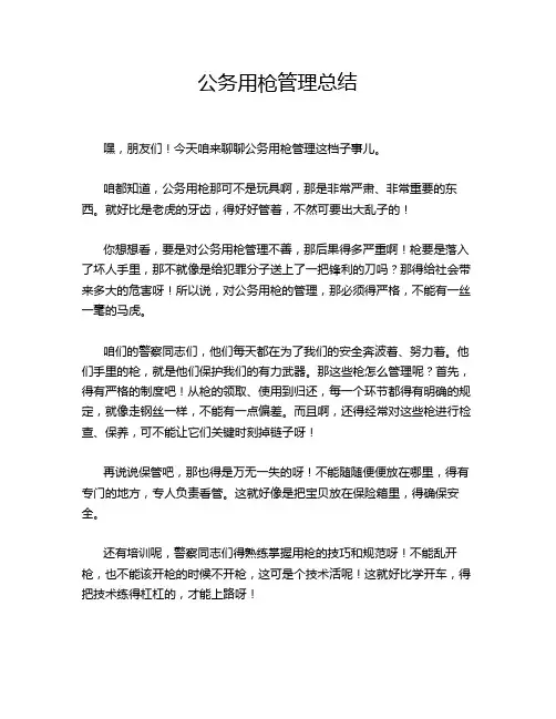 公务用枪管理总结