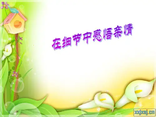 亲情作文指导精品PPT课件