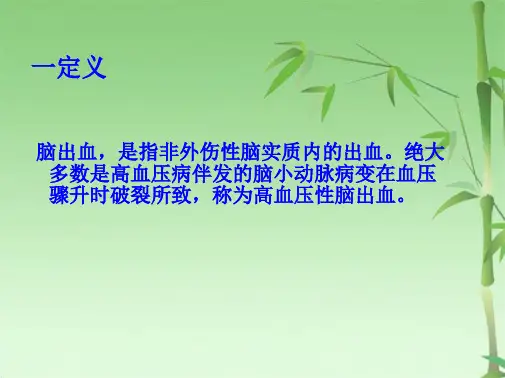 脑出血业务学习PPT(共26张PPT)