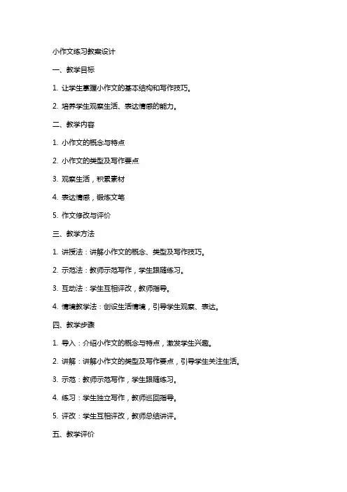 小作文练习教案设计