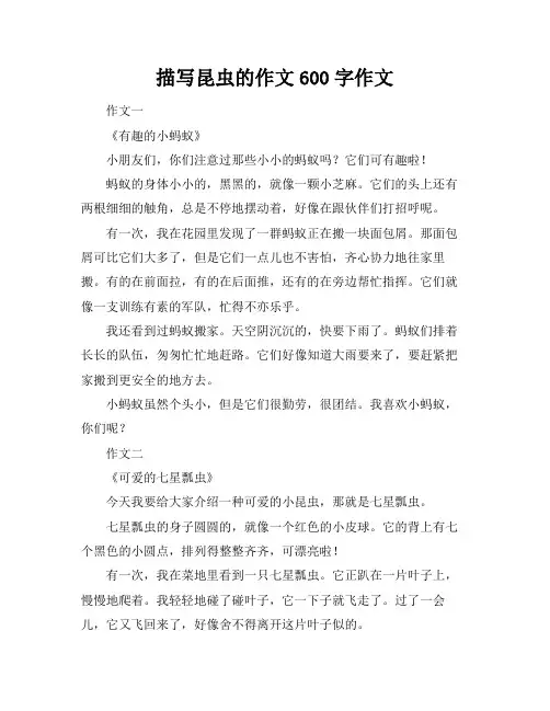描写昆虫的作文600字作文