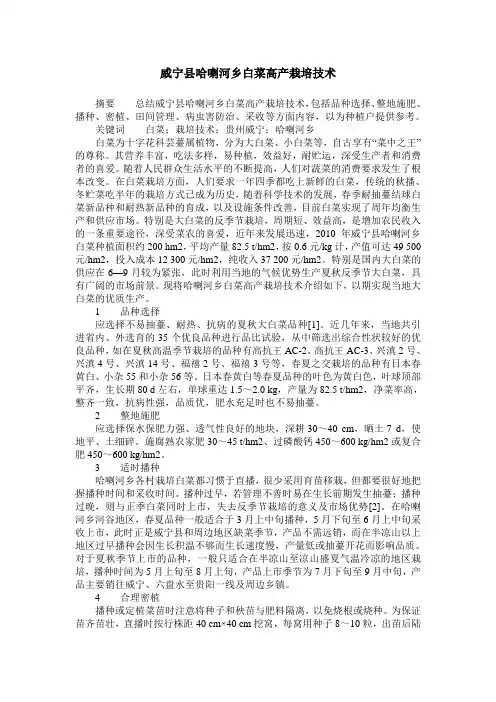 威宁县哈喇河乡白菜高产栽培技术