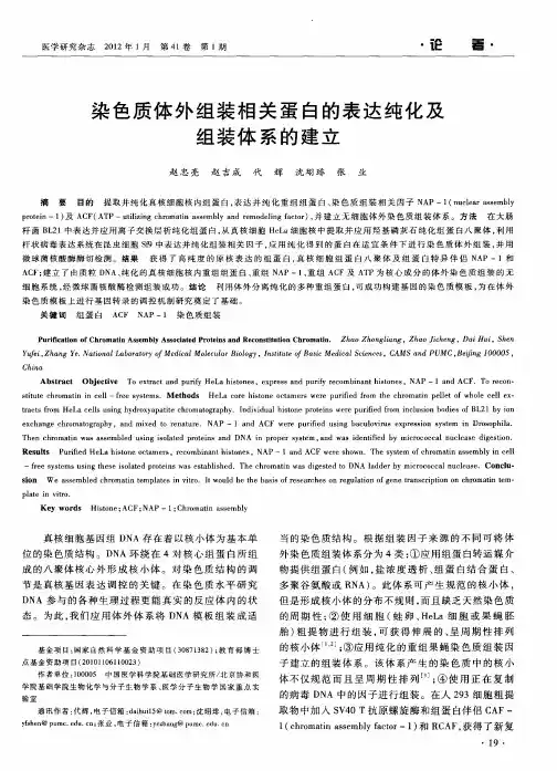 染色质体外组装相关蛋白的表达纯化及组装体系的建立