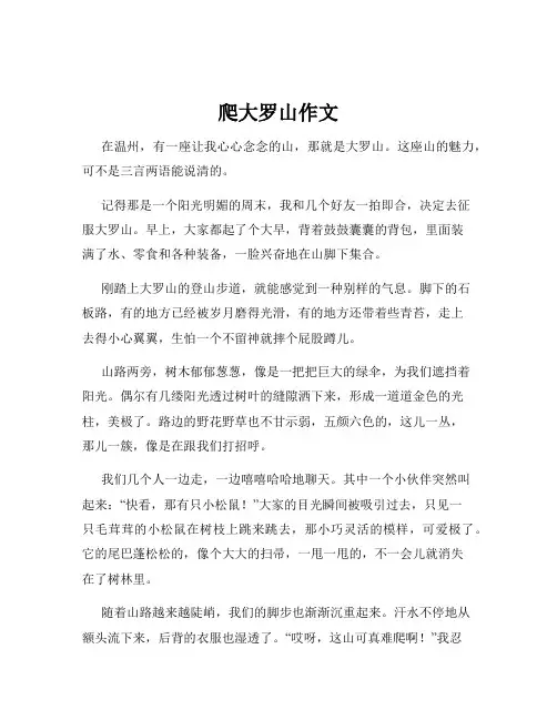 爬大罗山作文