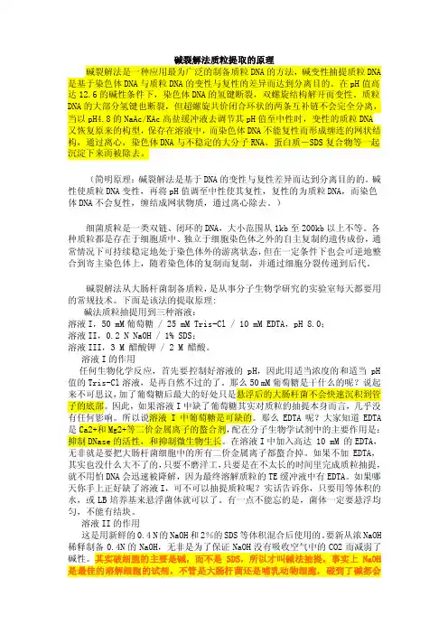 碱裂解法抽提质粒DNA的原理很详细