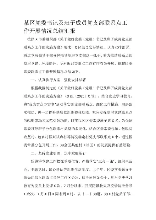 某区党委书记及班子成员党支部联系点工作开展情况总结汇报