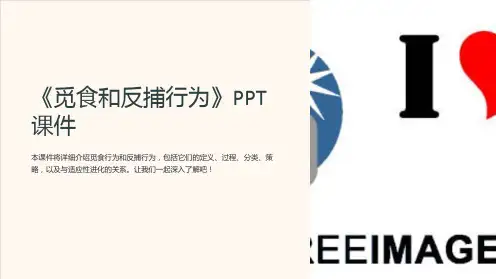 《觅食和反捕行为》课件