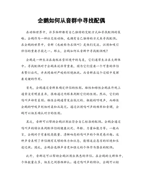 企鹅如何从音群中寻找配偶