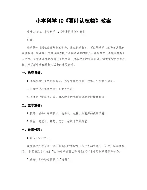 小学科学10《看叶认植物》教案
