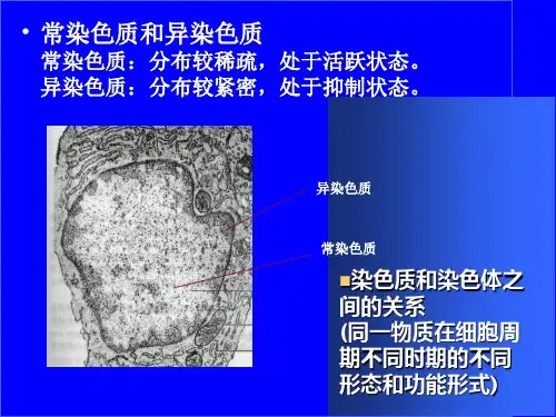 药学分子生物PPT课件