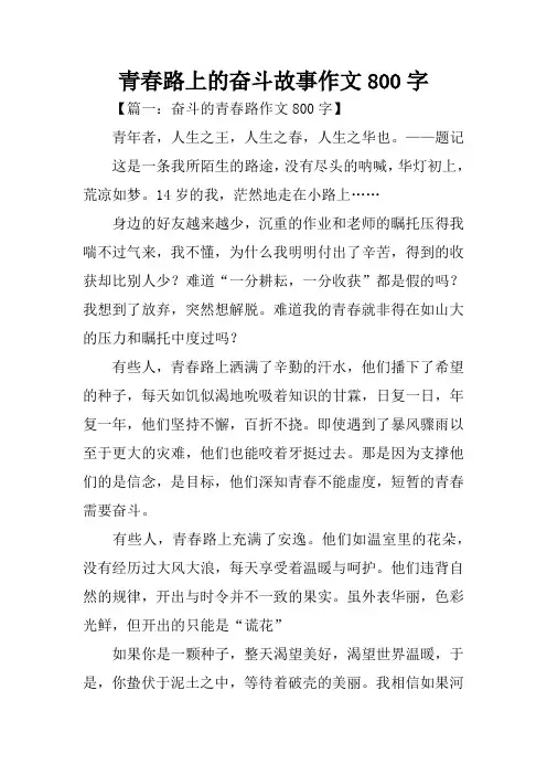 青春路上的奋斗故事作文800字