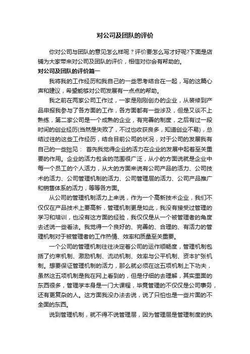 对公司及团队的评价