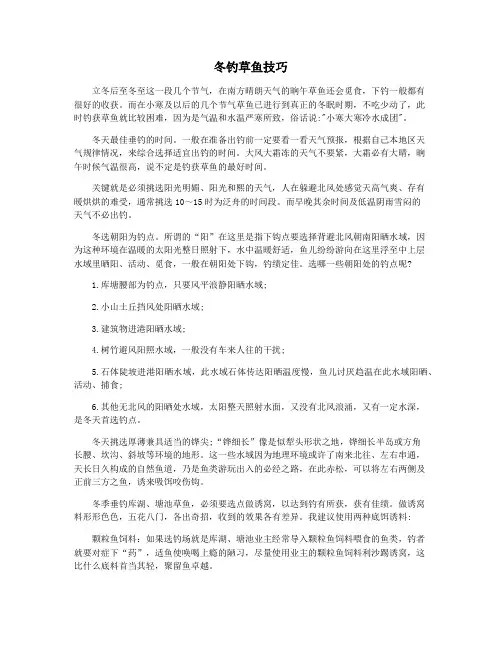 冬钓草鱼技巧