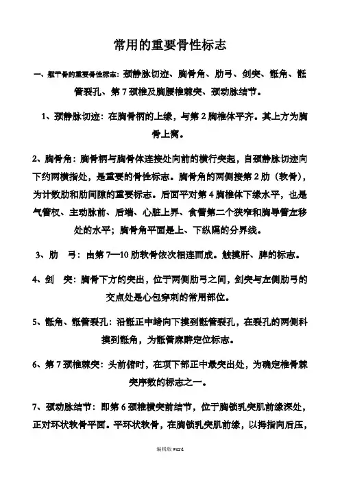 常用重要骨性标志