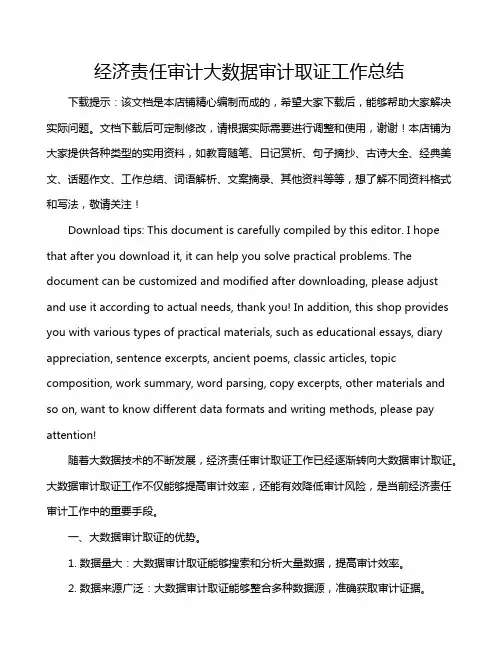 经济责任审计大数据审计取证工作总结