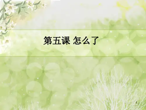 初级汉语口语第五课(课堂PPT)