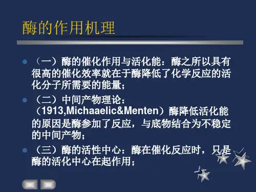 酶促反应动力学