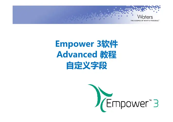 E3 Advanced 9 Empower 自定义字段