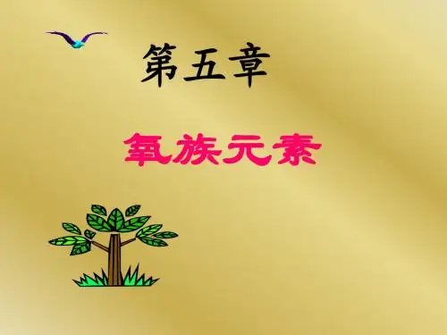 氧族元素6