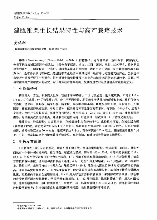 建瓯锥栗生长结果特性与高产栽培技术