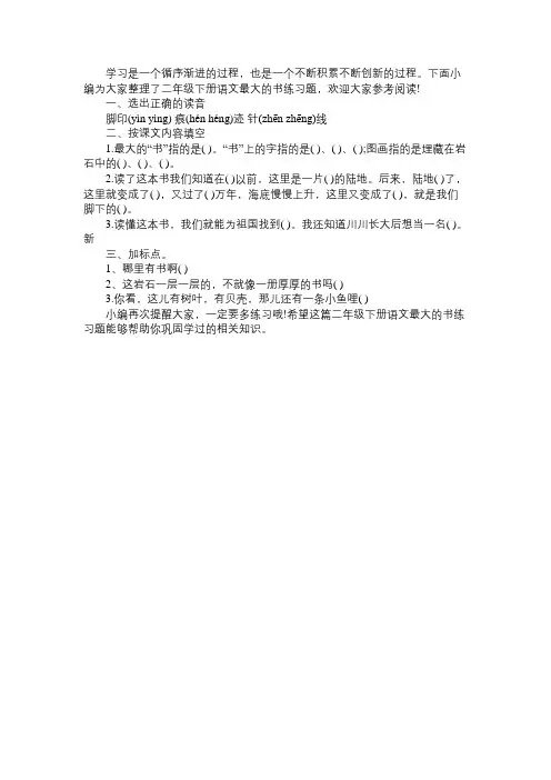 2016年二年级下册语文最大的书练习题人教版免费范文