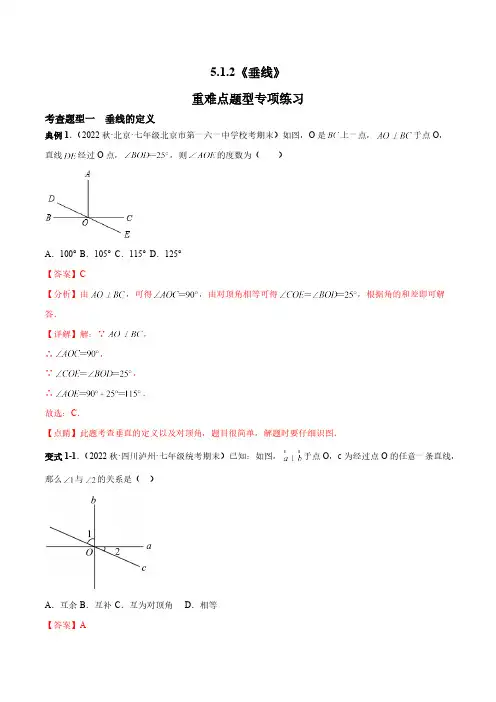 5.1.2 垂线 人教版七年级数学下册重难点专项练习(含答案)