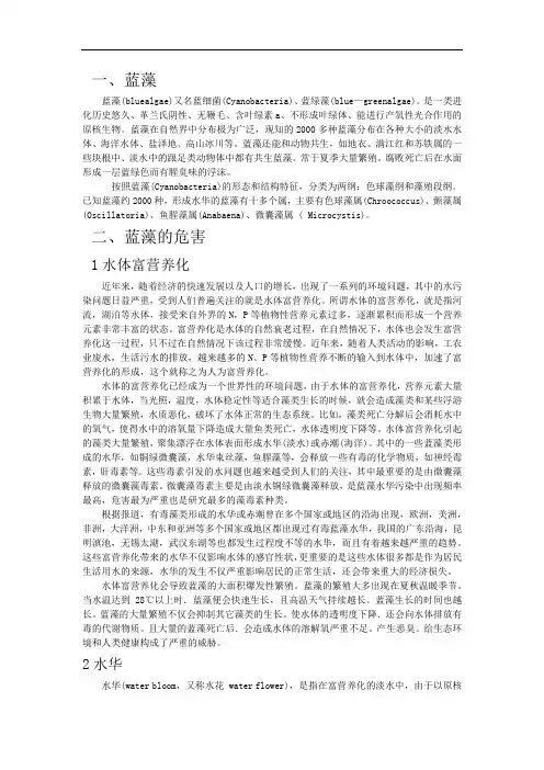 藻类及其危害和监测-培训资料