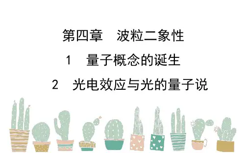 教科版高中物理选修35课件4142量子概念的诞生光电效应与光的量子说(3