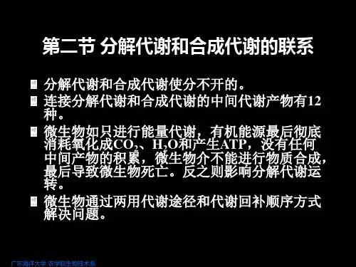   微生物的新陈代谢 第二节 分解代谢和合成代谢的联系